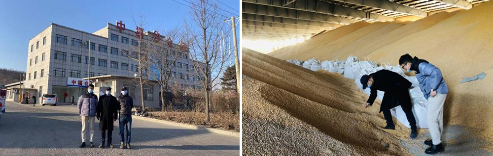 面粉公司率隊(duì)赴營(yíng)口考察農(nóng)產(chǎn)品 大宗貿(mào)易倉儲(chǔ)點(diǎn)情況